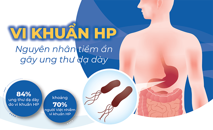 TÌM HIỂU VỀ VI KHUẨN HP VÀ MỨC ĐỘ NGUY HIỂM CỦA LOẠI VI KHUẨN NÀY